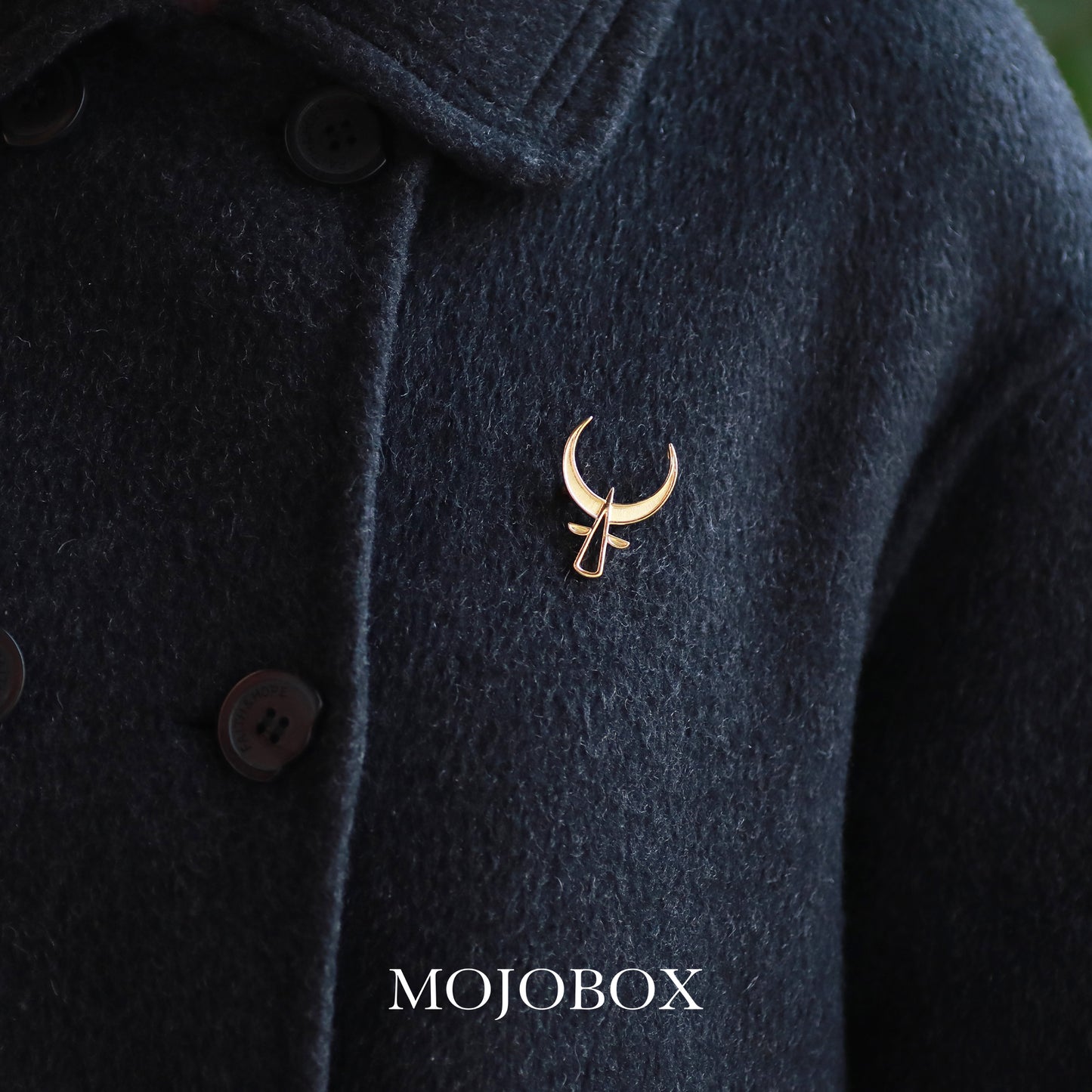 Golden Taurus Brooch